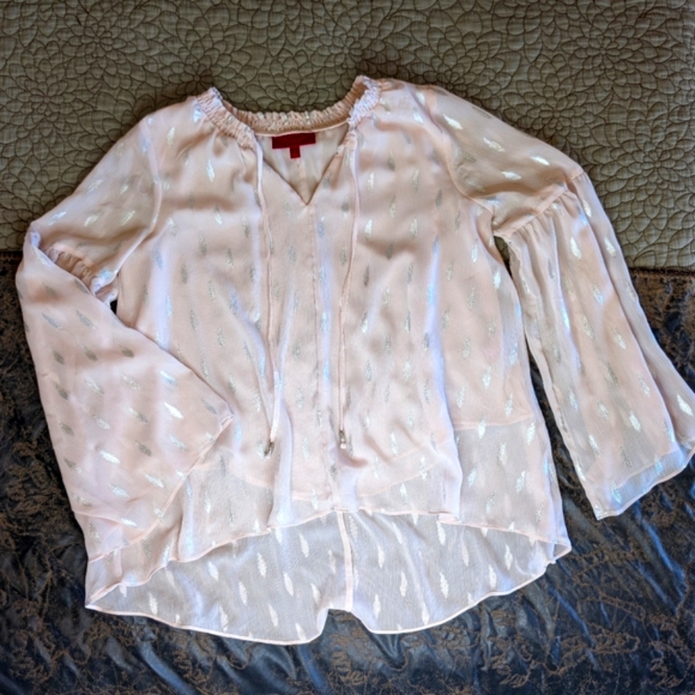 Jennifer Lopez Blouse - Blush Pink and Silver - Sheer - Flowy Feminine - Small